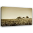 thumbnail image 1 of Alan Hausenflock 32x23 Gallery Wrapped Canvas Wall Art Titled - Goochland Farm I, 1 of 4