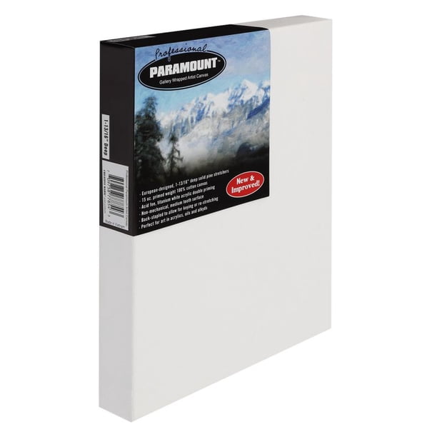 Paramount Artist Large Blank Canvas For Painting Thick Gallery Wrapped Heavy Duty Canvas paramount-artist-large-blank-canvas-for-painting-thick-gallery-wrapped-heavy-duty-canvas