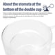 thumbnail image 4 of Labymos Taza de café de vidrio doble,, 4 of 8