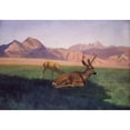 thumbnail image 3 of Bierstadt, Albert 14x11 Black Modern Framed Museum Art Print Titled - Deer, 3 of 5