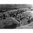 thumbnail image 2 of World War I History (36 x 24), 2 of 2