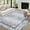 Grey, variant on FairOnly 8'x10' Blue Machine Washable Area Rugs for Living Room Vintage Floral Rugs Stain-Resistant Rugs for Kitchen Dining Room Bordered Indoor Floor Carpet
