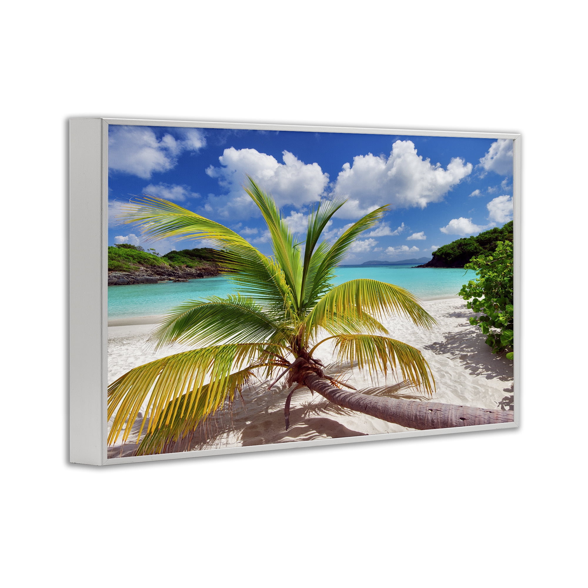 Stupell Industries Palm Tree Across Beach Coastal Photography White Framed Art Print Wall Art, 24 x 16
