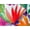 Island Bright Tropical, variant on Women's Plus Size Handkerchief-Hem Twist-Front Tummy Control Two-Piece Swim Dress