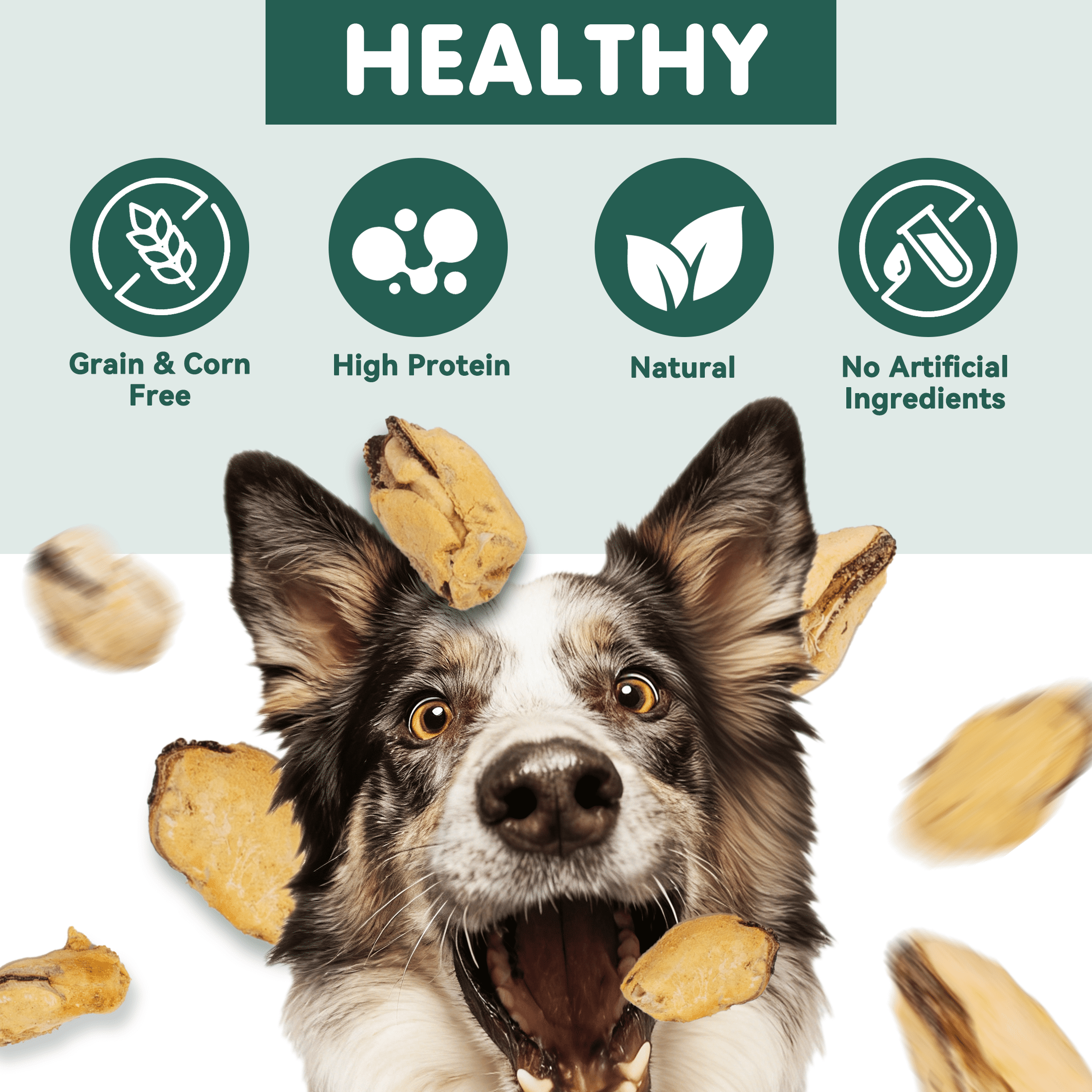 (2 pack) PAWUP Freeze Dried Dog Treats for Small, Medium, Large Dogs & Cats, 100% Single Ingredient, Grain Free, No Additives, Natural Snacks, 3.5oz