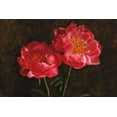 thumbnail image 2 of Pahl, Janel 24x17 White Modern Wood Framed Museum Art Print Titled - Romance, 2 of 4