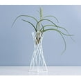 thumbnail image 3 of Tabletop Metal Air Plant Holders Stands Plant Containers Flower Racks;Tabletop Metal Air Plant Holders Stands Plant Containers Flower Racks,White,15CM, 3 of 4
