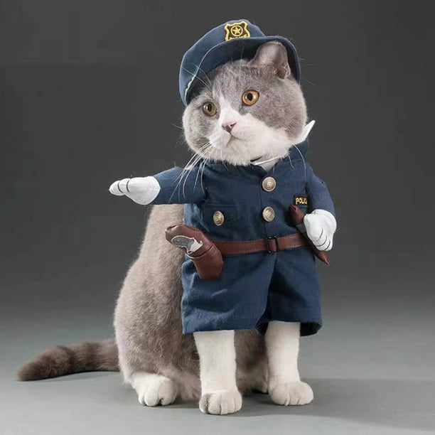 Dog cat halloween hot sale costumes