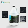 thumbnail image 3 of Copper Pool Algaecide for Swimming Pools - 64 oz - 90 Day Algaecide for Inground & Above Ground Pools, Helps Prevent & Remove Green, Mustard, Blue, Black Algae - AquaDoc, 3 of 8