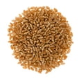 Hard Red Winter Wheat Berries 25 lbs Palouse Brand Whole Grains