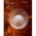 thumbnail image 1 of Atenas 317, 1 of 1