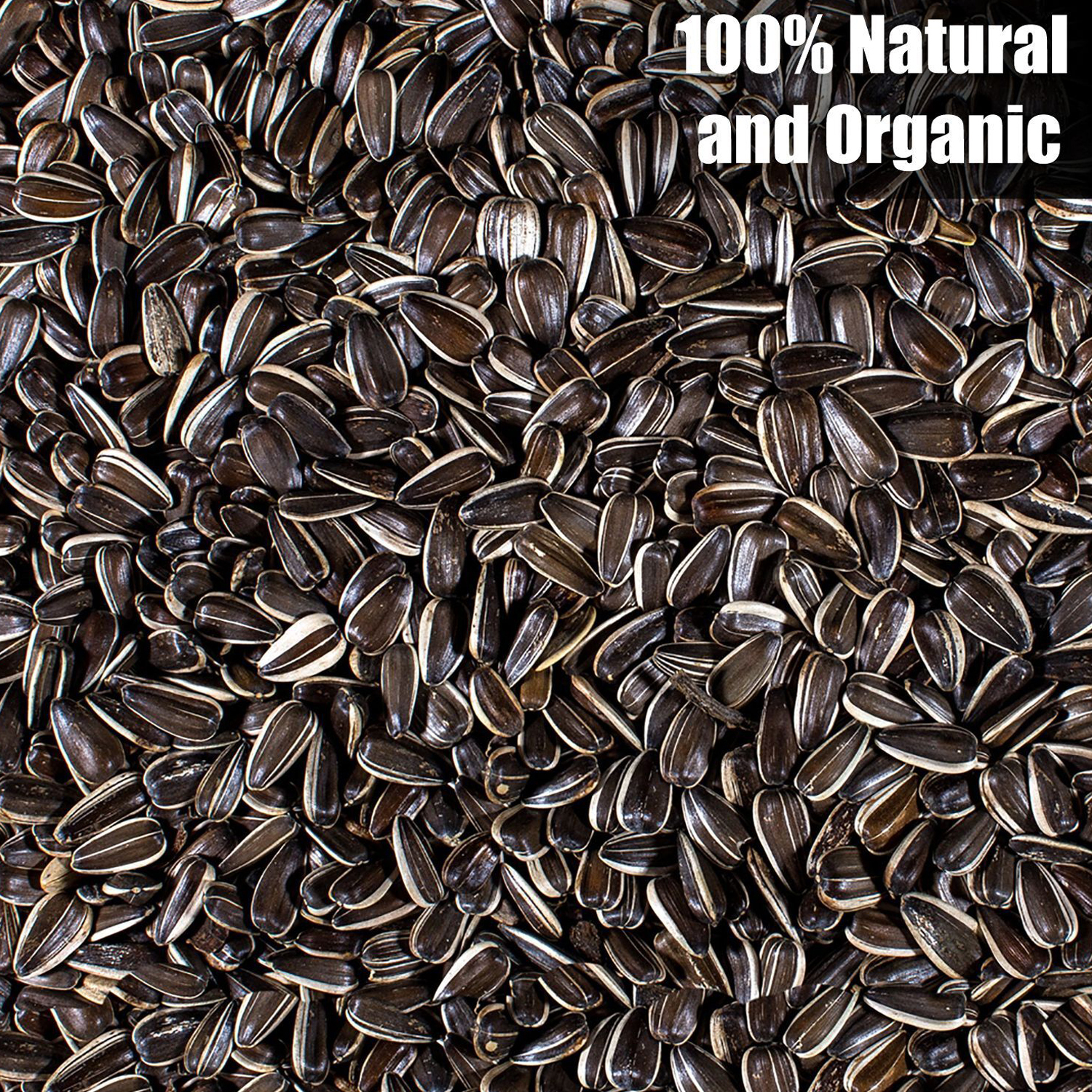 Old Potters Wildlife Striped Sunflower Seeds for Birds and Wildlife, Non-GMO & USA Grown, Organic, Small Farm