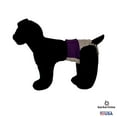 thumbnail image 4 of Barkertime Regal Purple on Beige Dog Diaper, 4 of 6