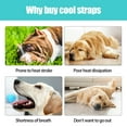 thumbnail image 5 of Dog Harness Cooling Vest Adjustable Breathable Mesh Pet Summer Cooler Jacket, 5 of 9