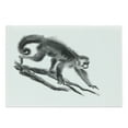 thumbnail image 1 of Animal Cutting Board, Sketchy Style Monkey on a Branch Exotic Creature in Jungle Hand Drawn Illustration, Decorative Tempered Glass Cutting and Serving Board, Large Size, Dimgrey, by Ambesonne, 1 of 1