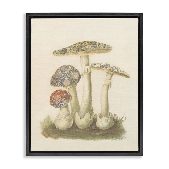 Stupell Industries Cottage Vintage Patterned Mushrooms Black Floating Frame Canvas Art, 17 x 21, by Lil' Rue