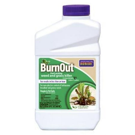 QT Concentrate BurnOut All Natural Weed & Grass Killer Very Fast Acting