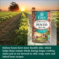 Organic Pinto Beans 15 Oz Can 12 Pack No Salt Added Non GMO organic-pinto-beans-15-oz-can-12-pack-no-salt-added-non-gmo