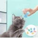 thumbnail image 4 of Juguete para gatos con resortes coloridos de plástico grueso, ancho y duradero, paquete de 10. $10. Juguete creativo para gatos para matar el tiempo y mantenerse en forma. Juguete, 4 of 4