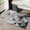 4, variant on Simple E-Sports Chair Carpets Floor Mat Study Desk Computer Swivel Chair Carpet Bedroom Soiled Foot Mat Carpet Home Decoration