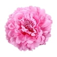 thumbnail image 4 of Krdevn Artificial Peony Flower Hair Clip Bohemian Floral Barrette Easy Grip Hair Pin for Women Girls Daily Wedding Party Holiday Hair Accessory, 4 of 4