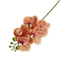 thumbnail image 1 of Phalaenopsis Simulation Flowers Artificial Phalaenopsis Branch, 1 of 8