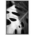thumbnail image 3 of PixonSign Framed Canvas Print Wall Art Monstera Leaf in Sunlight Botanical Wilderness Photography Realism Minimalist Relax/Calm Black and White for Living Room, Bedroom, Office - 24"x36" White, 3 of 5