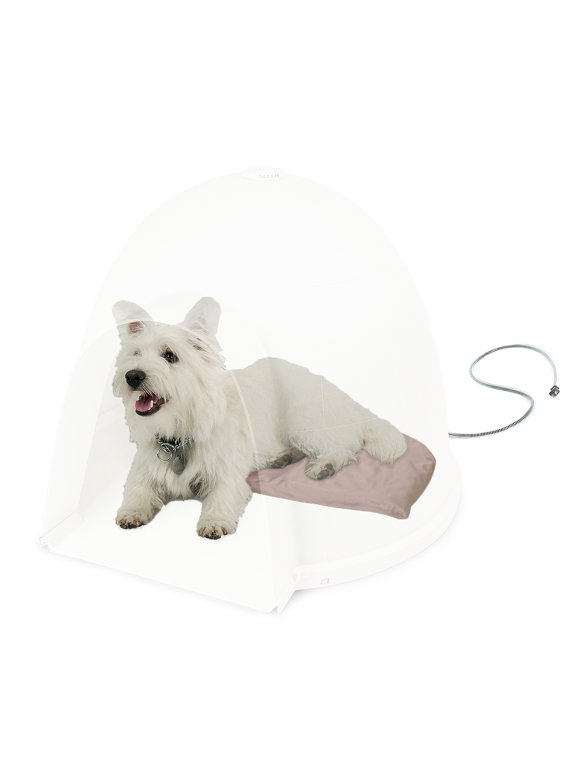 Igloo Dog Houses in Dog Houses