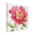 thumbnail image 2 of Trademark Fine Art 'Pink Garden II' Canvas Art by Lisa Audit, 2 of 3