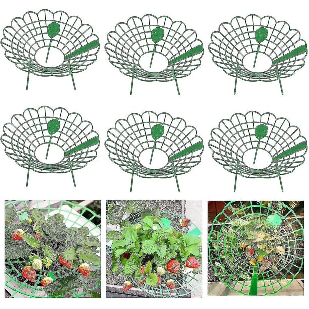 6 paquetes de soportes para fresas, soporte portátil para fresas con 4 patas resistentes, juegos de soporte ajustables