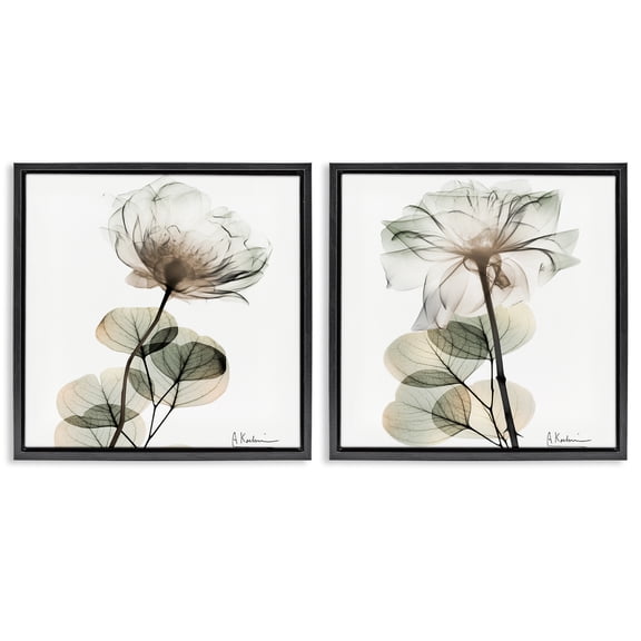 Stupell Industries Cream Transparent Floral Floral Painting Black Floater Framed Canvas Art Print Wall Art, 18 x 18, Set of 2