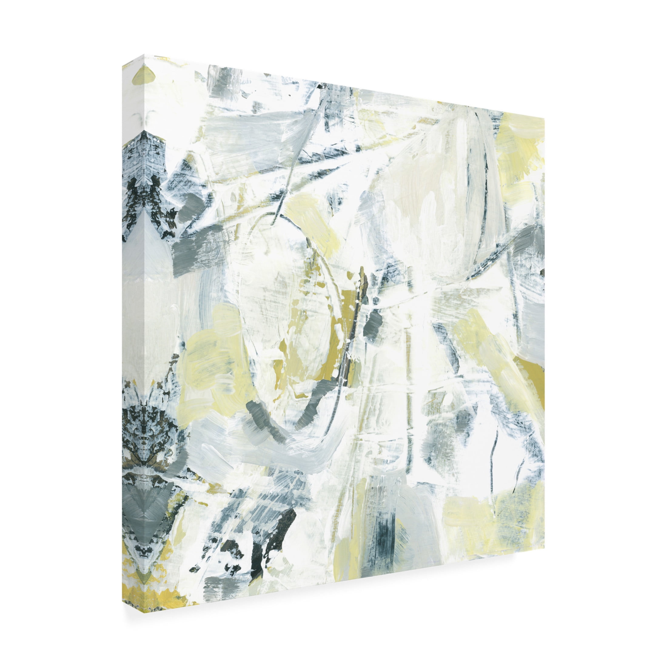 Trademark Fine Art June Erica Vess Citron Graffiti III Canvas Wall Art