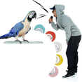 thumbnail image 4 of 10PCS Have Creativity Fun Bird Whistle Magical Bird Caller Tongue Whistle for Producing High Octave Voice, 4 of 5