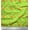 Lime Green, variant on Soimoi Cotton Duck Fabric Leaves & Aster Floral Print Sewing Fabric Yard 42 Inch Wide