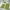 Green-01, variant on Mittory Memory Foam Bath Mat Set, Bathroom Rugs for 3 Pieces, Toilet Mats, Soft Comfortable, Water Absorption, Non-Slip Floor Mats