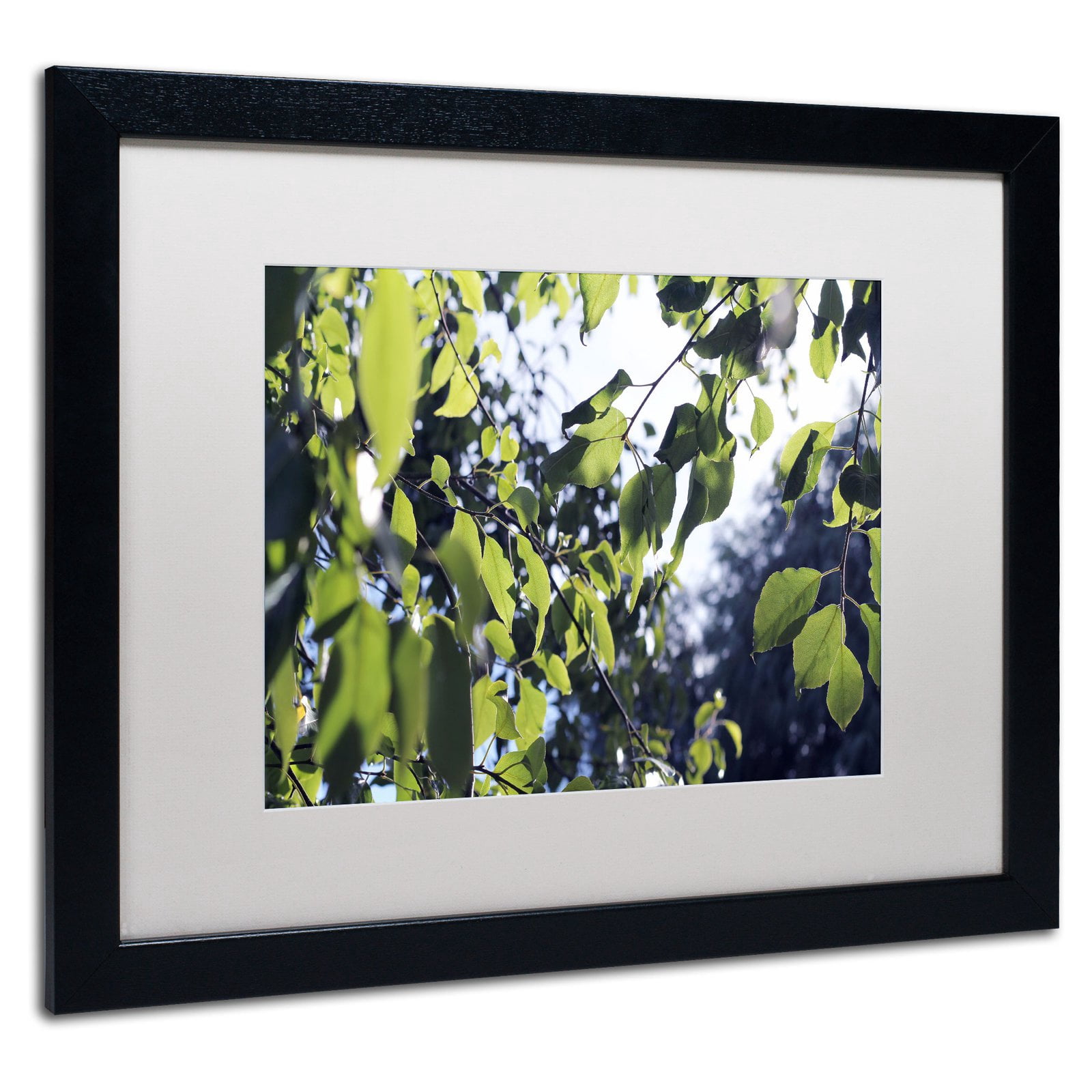 Trademark Fine Art "Whispers of Summer" Canvas Art by Beata Czyzowska Young, White Matte, Black Frame