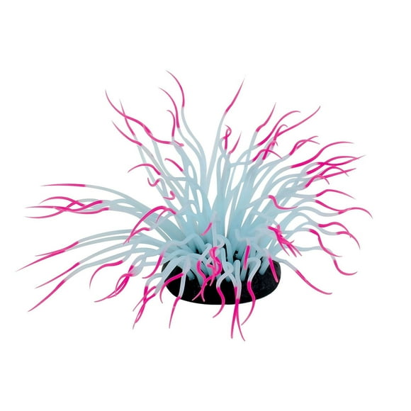 Penn-Plax, Pink Sea Anemone