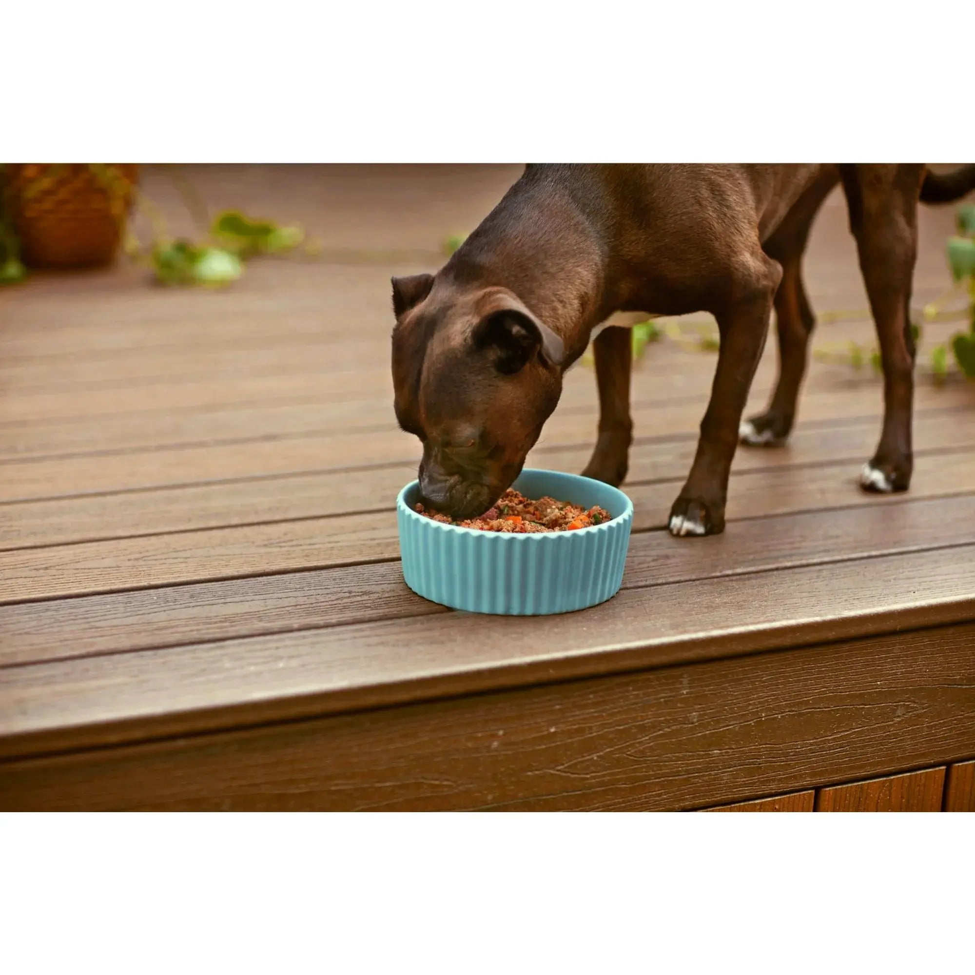 PetPlate Human-Grade Venison Entrée, Fresh Dog Food, All Life Stages, Frozen, 8oz