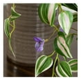 thumbnail image 3 of Drevy Artificial Wandering Jew Bush with s A Houseplant That Requires No Care, 3 of 5