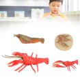 thumbnail image 4 of Lobster Growth Cycle Model, Excellent Gift Growth Cycle Model Cute  For Home Decoration For Kids Education Toy, 4 of 8