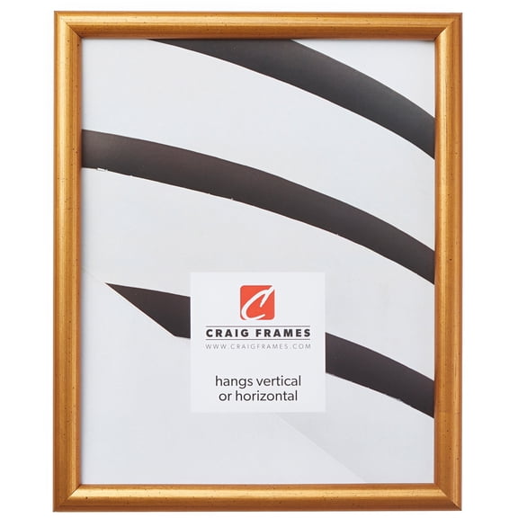 Craig Frames Bullnose, 24x24 inch Picture Frame, Contemporary Brushed Gold