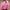 Pink, variant on Timoontee Savings 2024 Womens Hoodies Oversized Sweatshirts Fall Fashion Pullover Tops Long Sleeve Outfits with Pockets Preppy Clothes Blue 18
