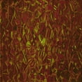 thumbnail image 1 of Ahgly Company Machine Washable Indoor Square Transitional Mahogany Brown Area Rugs, 7' Square, 1 of 7