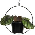 thumbnail image 2 of Plant Hanger 6 Inch Hanging Planter Plant Holders Modern Pot Hanger Wall Planters Indoor Hanging Metal Planter, 2 of 8