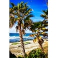 thumbnail image 2 of Hausenflock, Alan 11x14 Black Ornate Wood Framed with Double Matting Museum Art Print Titled - La Jolla Palms II, 2 of 4