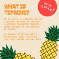 thumbnail image 6 of De La Calle Tepache - Mandarin Refresco - Modern Mexican Soda - Craft Fermented Pineapple Beverage, 6 of 7