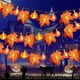 thumbnail image 1 of Decoración otoñal para el hogar, guirnalda de 40 LED con luces de cadena de hojas de arce y calabaza para Halloween, fiesta de Acción de Gracias, decoración interior y exterior., 1 of 5