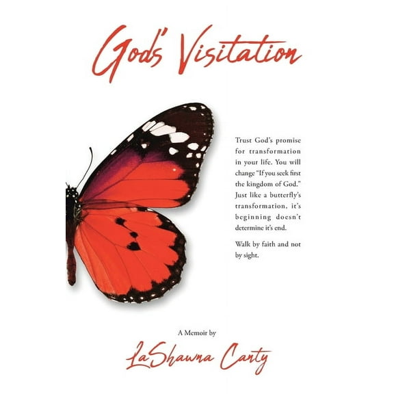 God's Visitation, (Paperback)