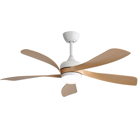 Sofucor 52 Inch Ceiling Fans with Lights and Remote, Outdoor Ceiling Fan with Light 6-Speed 3 CCT 3-Timer, Low Profile Ceiling Fan 5 Blade Noiseless Reversible DC Motor for Living Room Bedroom Patio