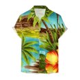thumbnail image 2 of Camisas Y s Camisa para hombre Camisa de playa de manga corta holgada informal (AG, L), 2 of 4